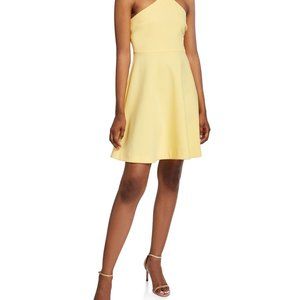 LIKELY Women's Ashland Cross front Fit and Flare Cocktail Dress